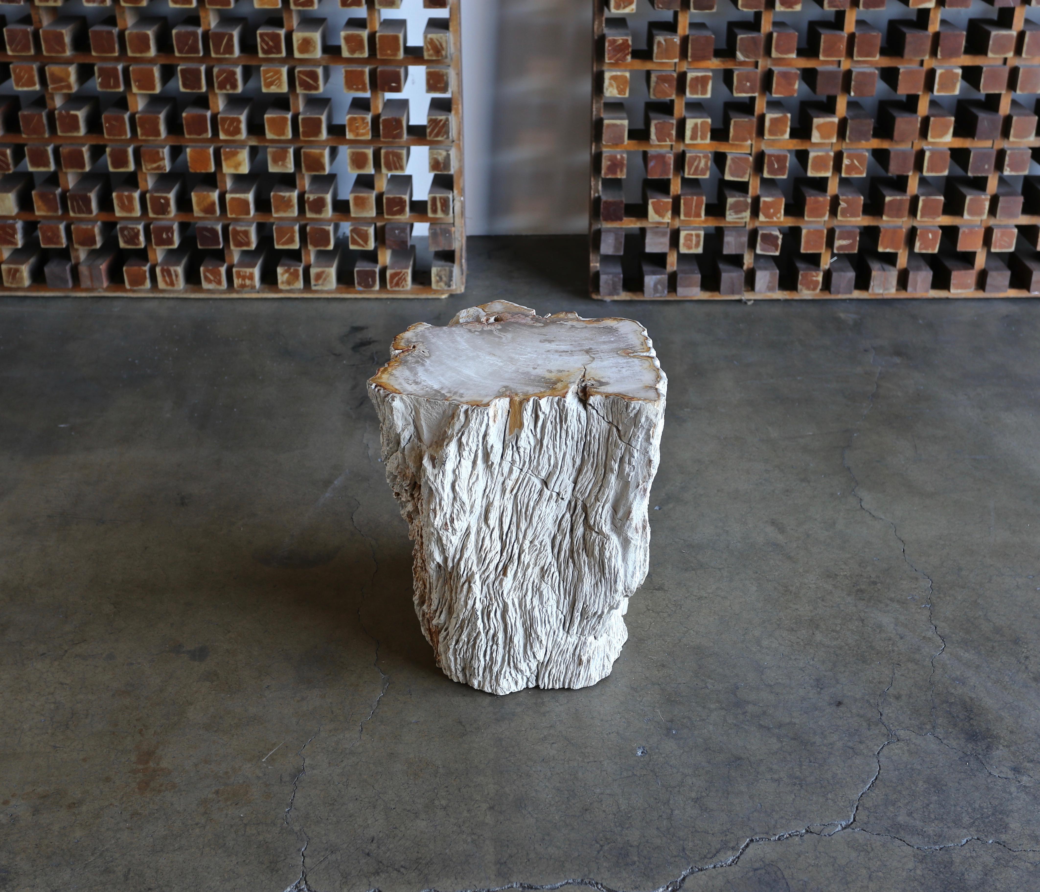 18th Century and Earlier Petrified Wood Side Table