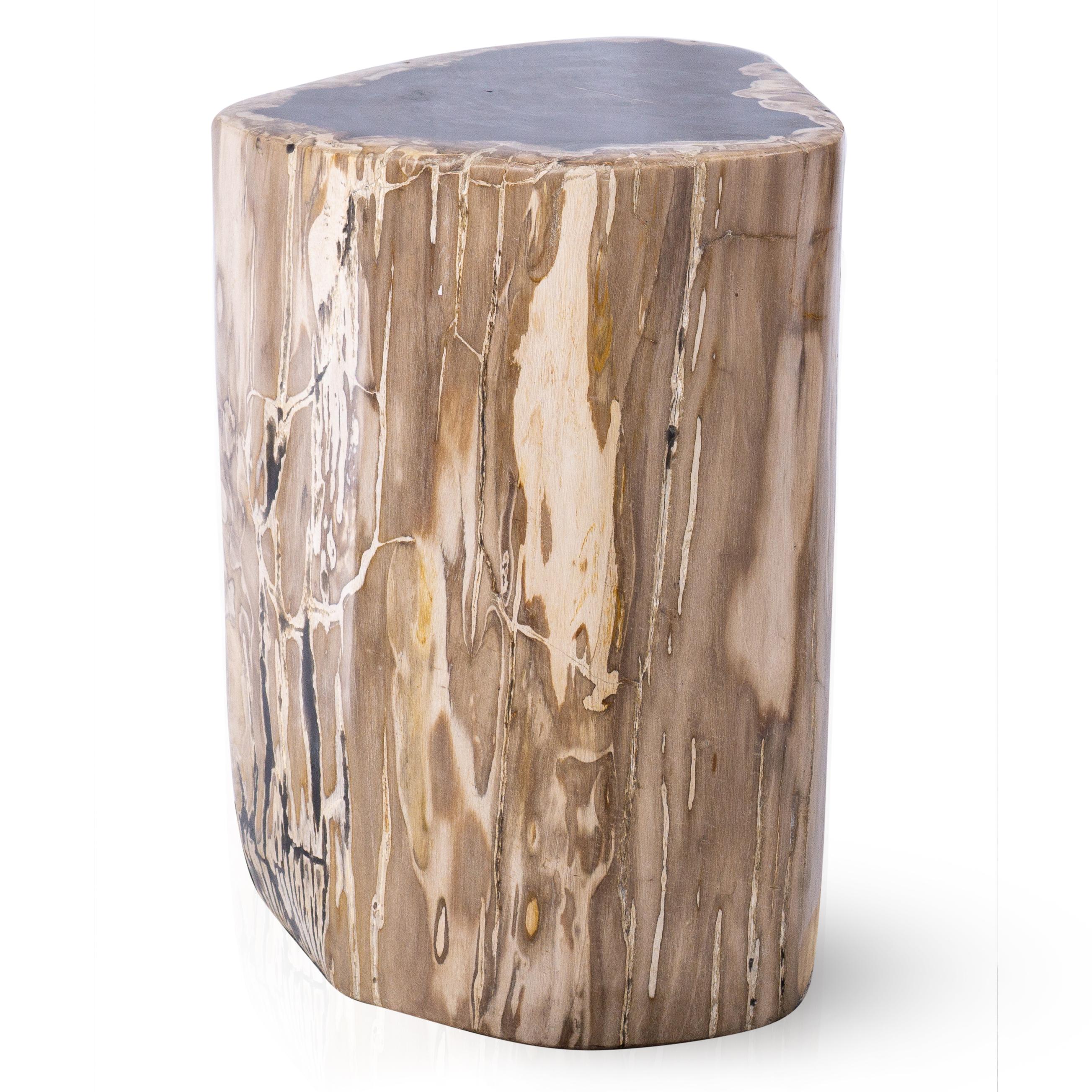 Polished Petrified Wood Side Table