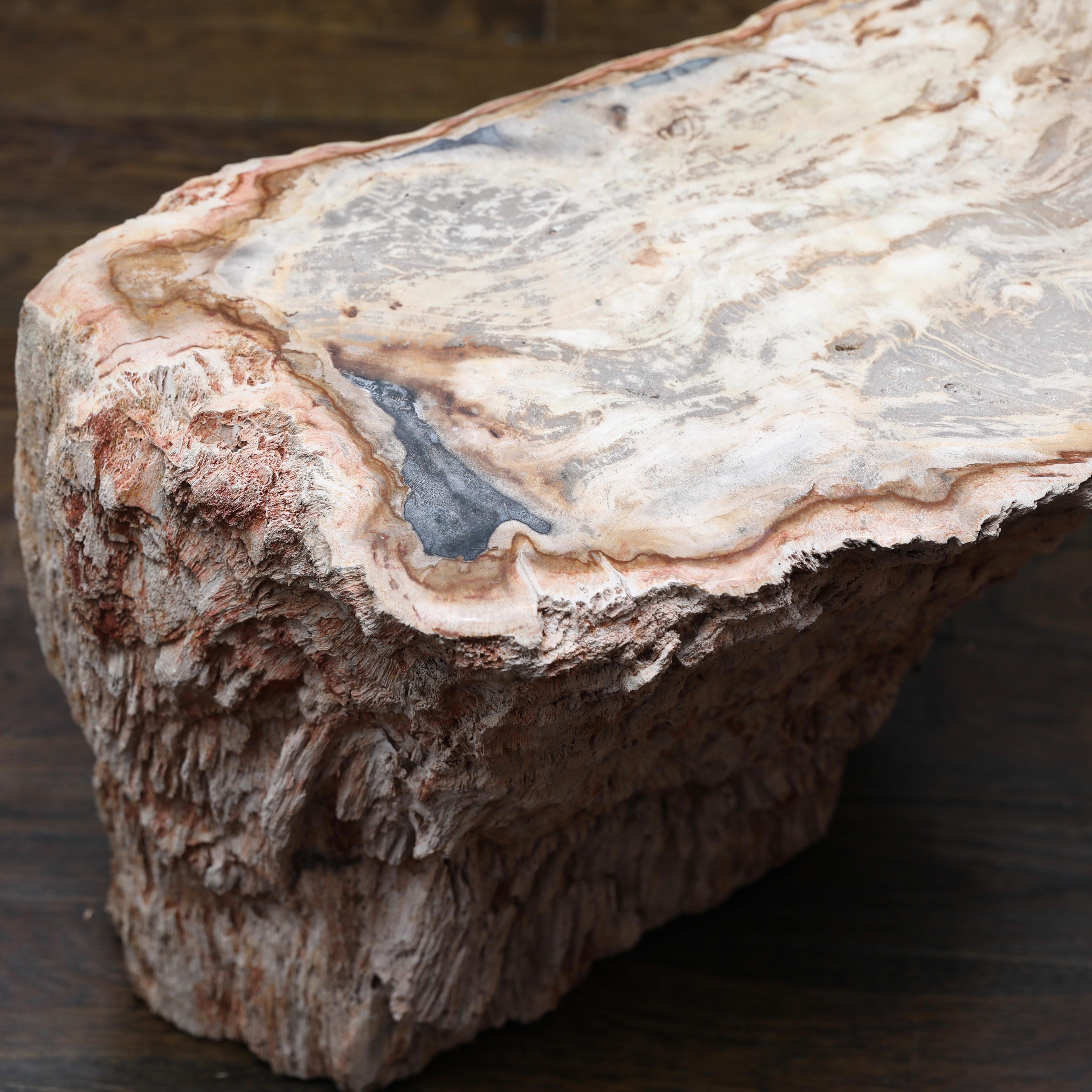 Petrified Wood Side Table In Good Condition In New London, CT