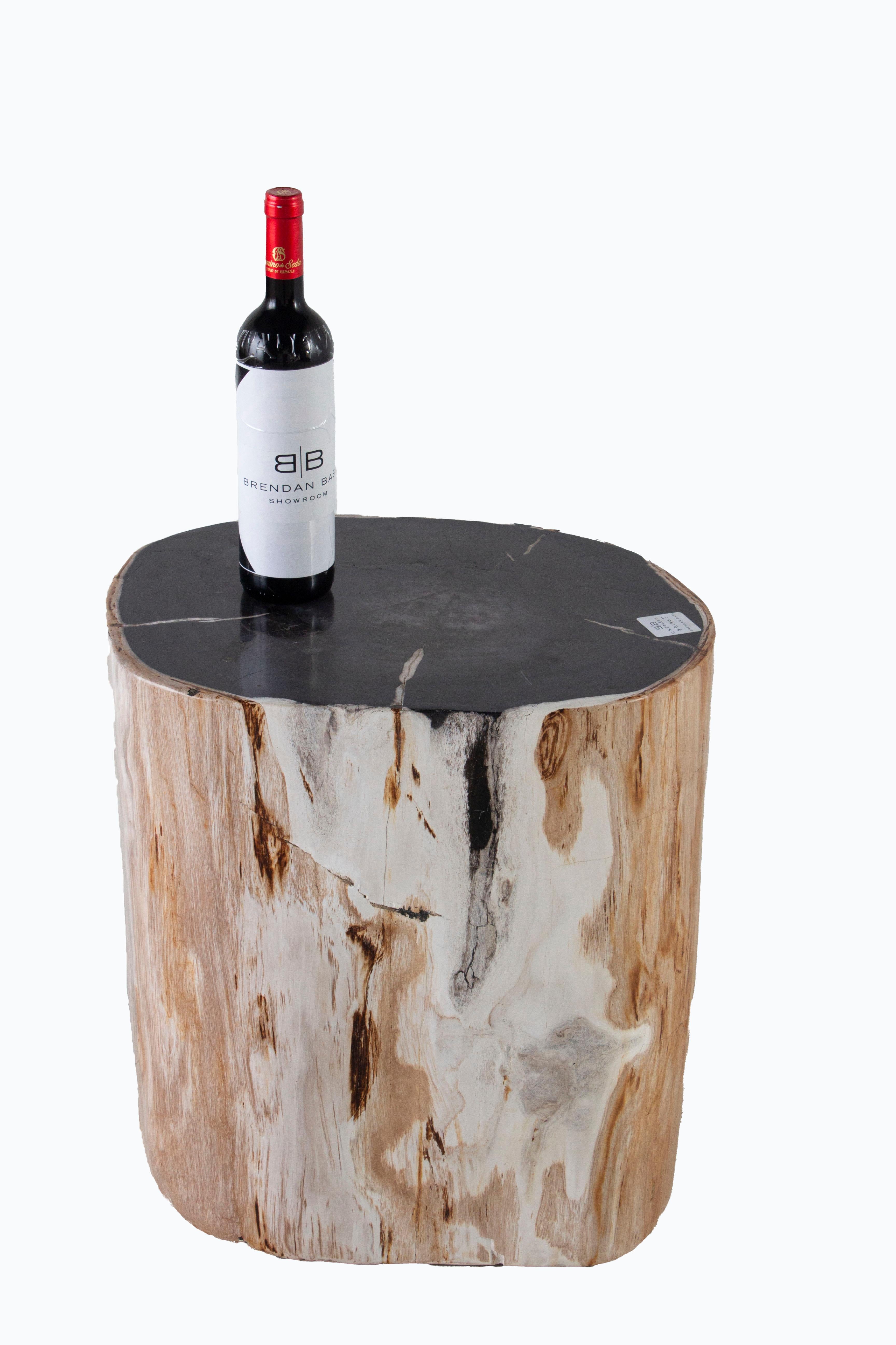 Contemporary Petrified Wood Side Table