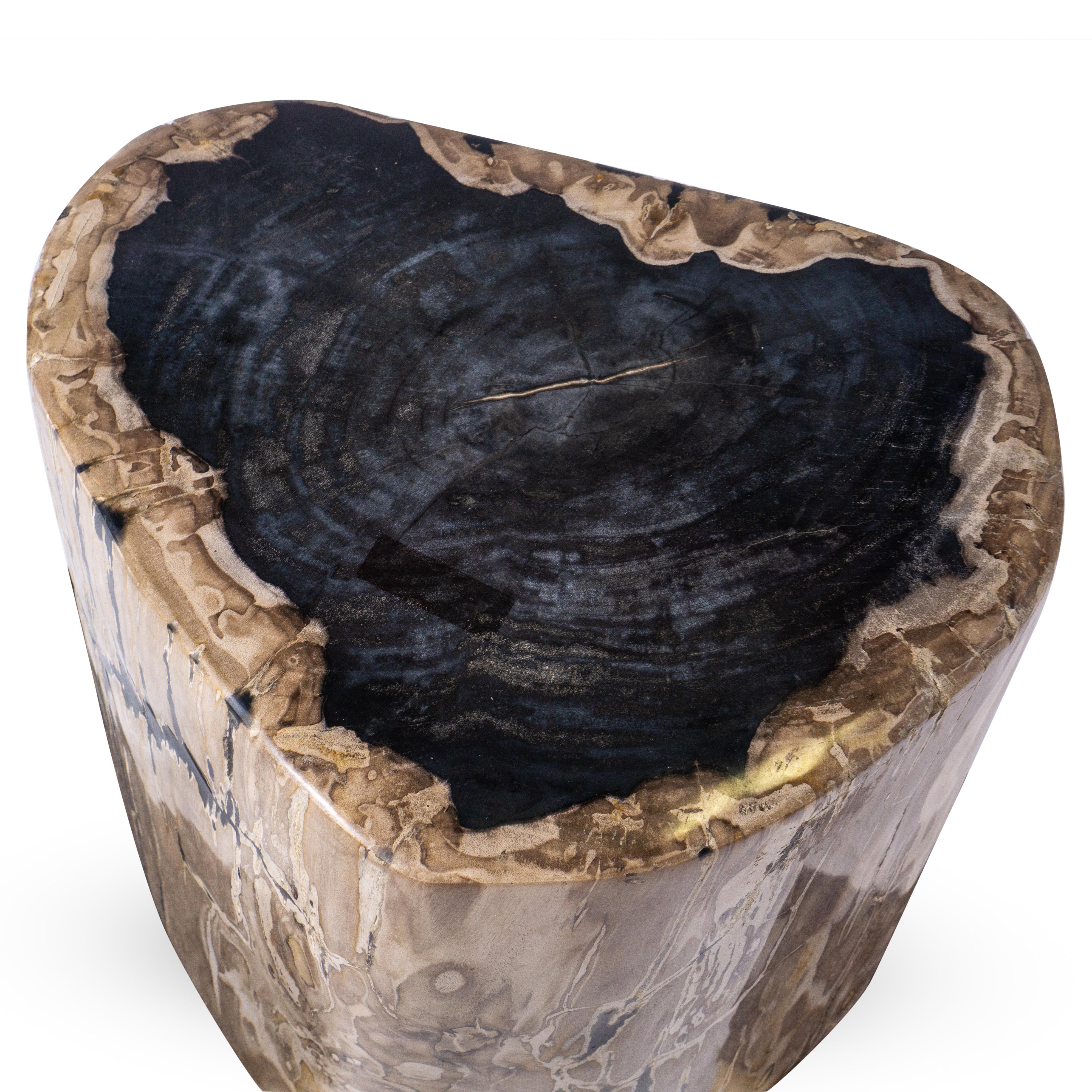 Petrified Wood Side Table In Good Condition In Feasterville Trevose, PA