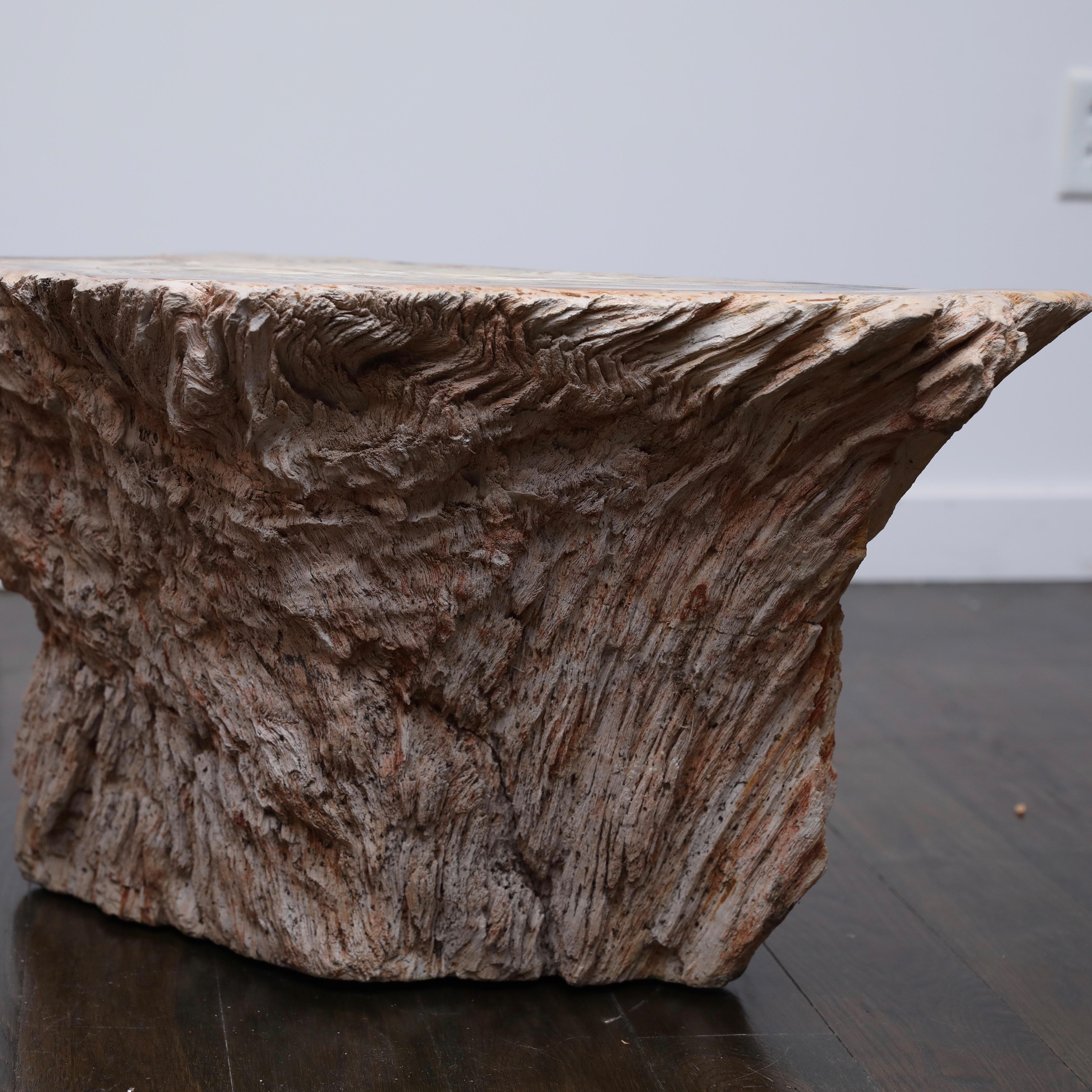 20th Century Petrified Wood Side Table