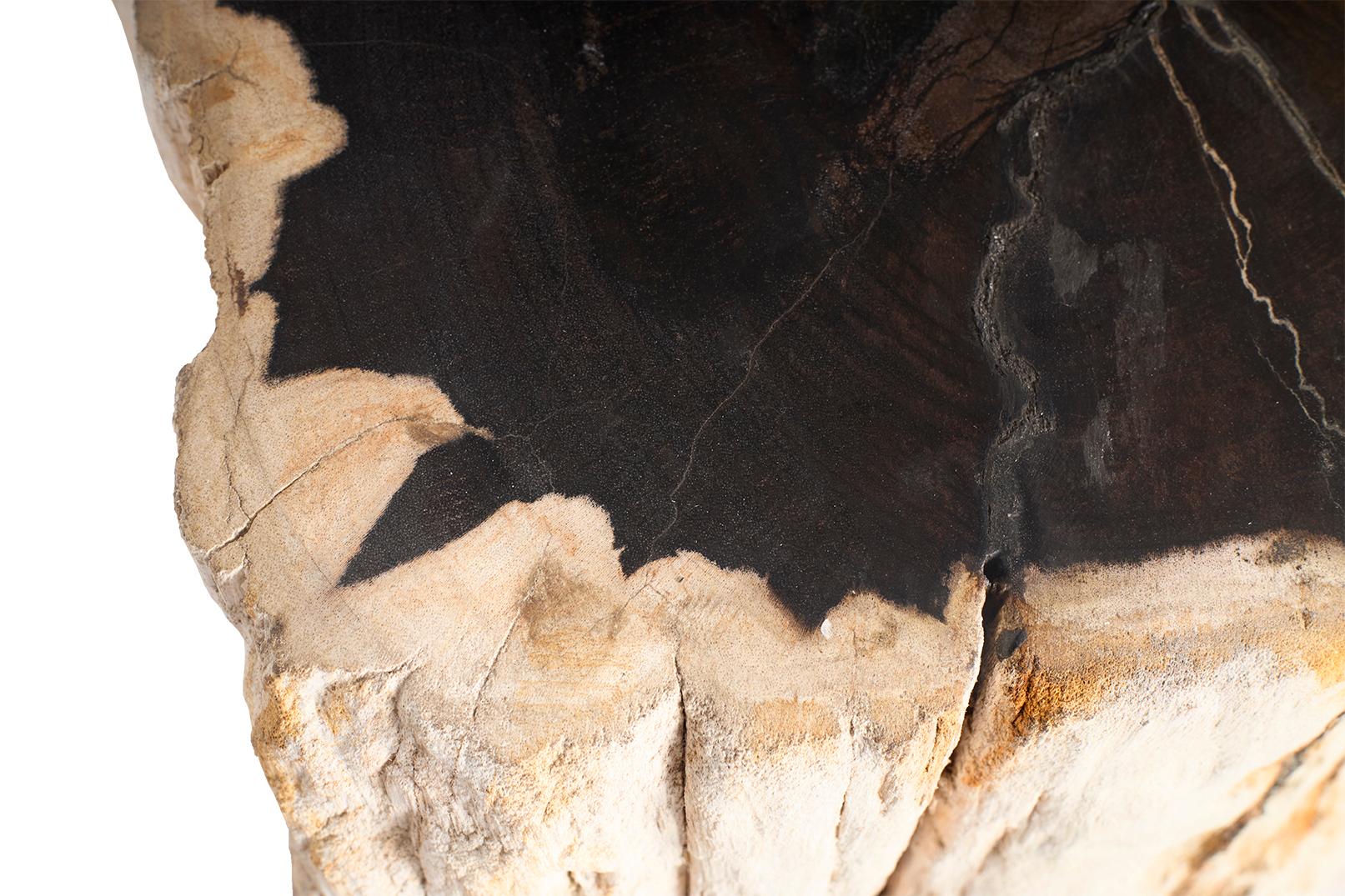 Petrified Wood Side Table 2