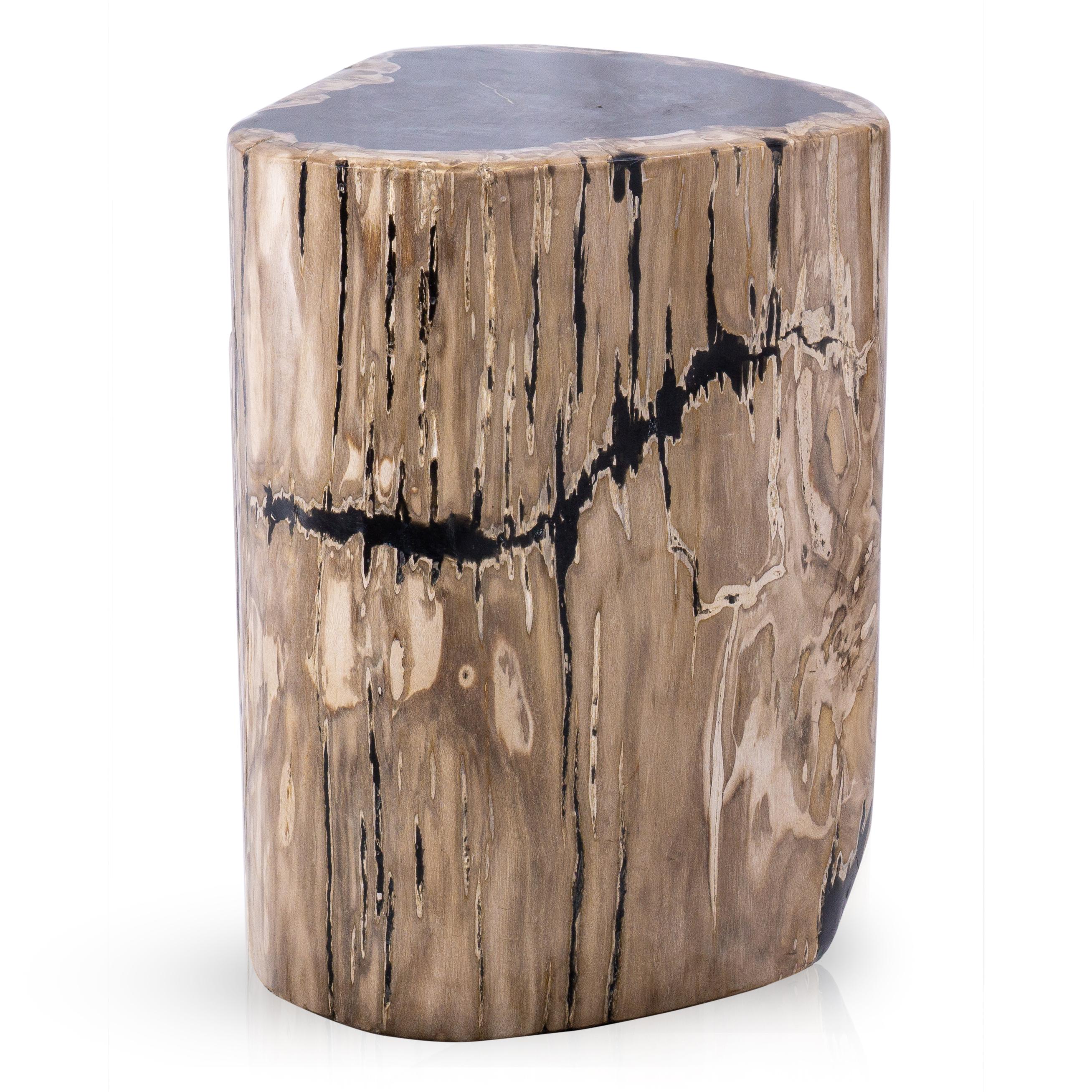 Contemporary Petrified Wood Side Table