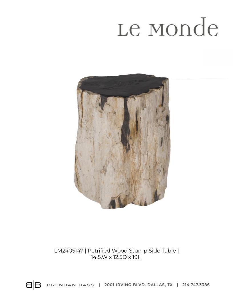 Petrified Wood Side Table 3