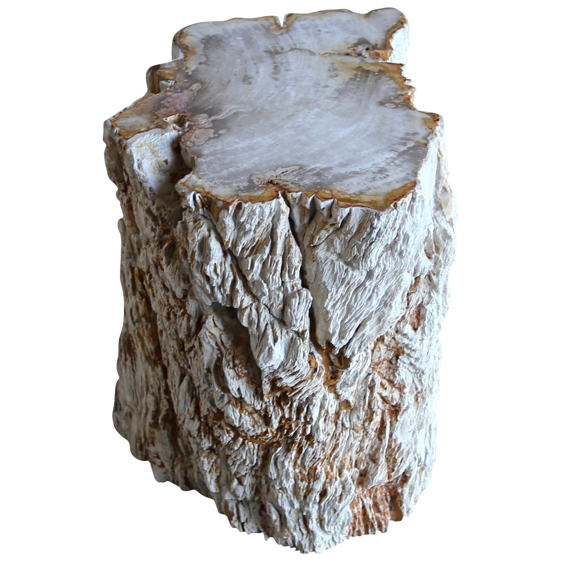 Petrified Wood Side Table