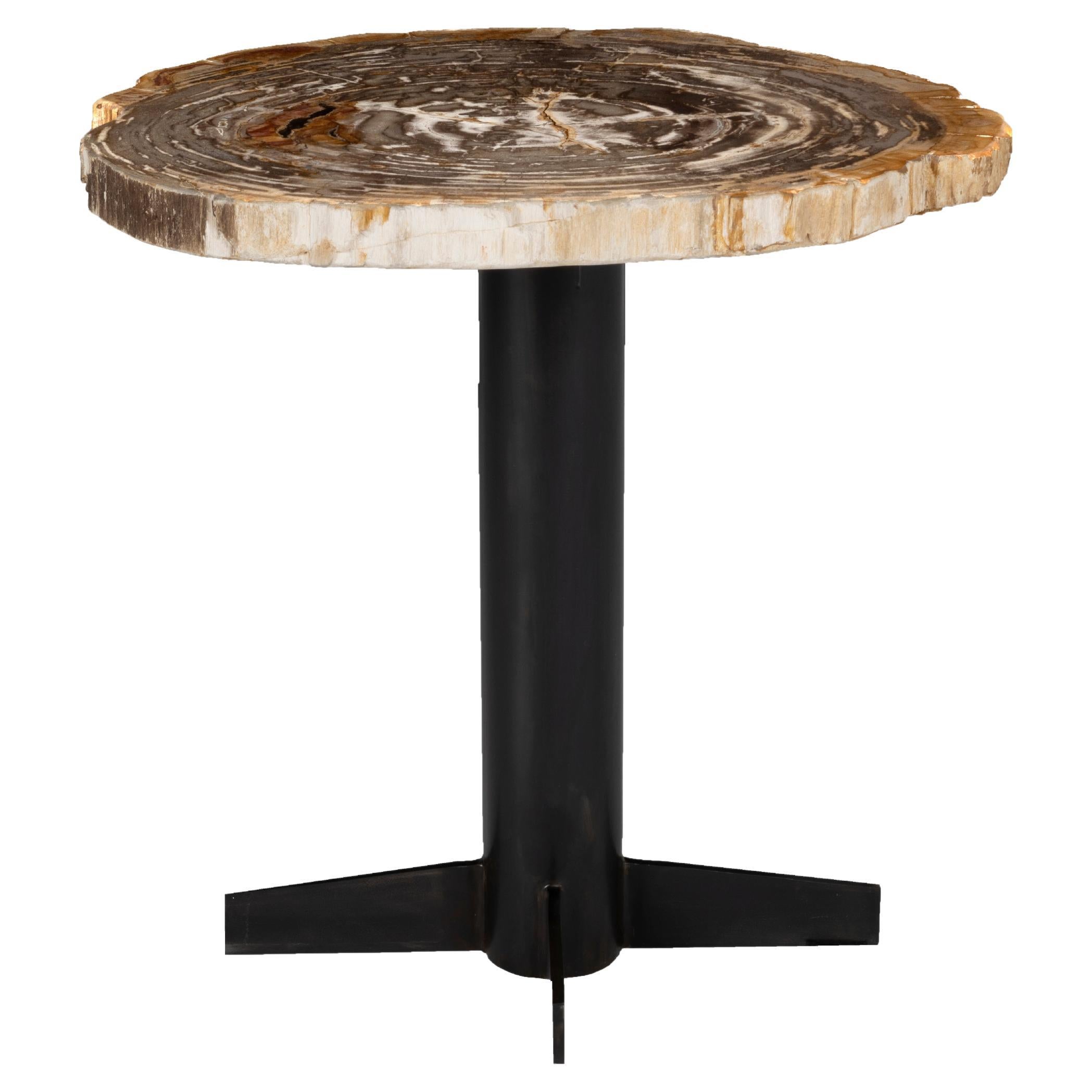 Petrified Wood Side Table 