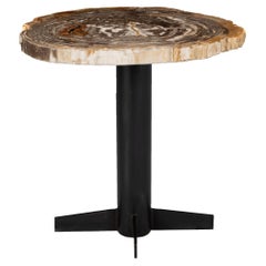 Petrified Wood Side Table 