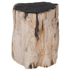 Petrified Wood Side Table