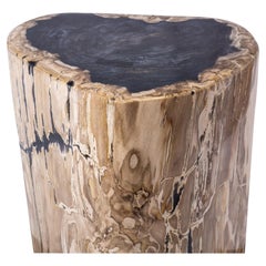 Tavolino in Wood pietrificato