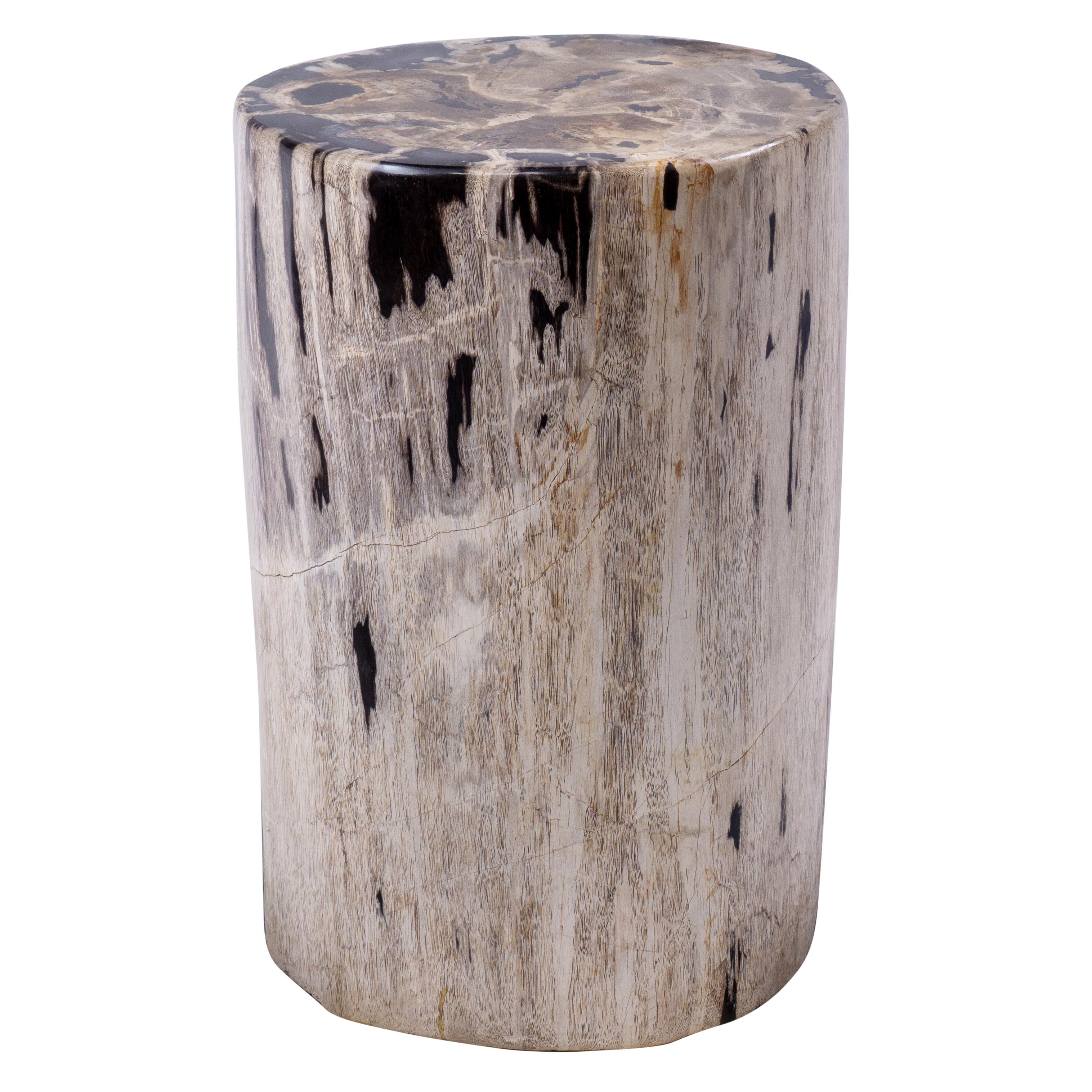 Organique Table d'appoint beige grès pétrifié avec accents noirs en vente