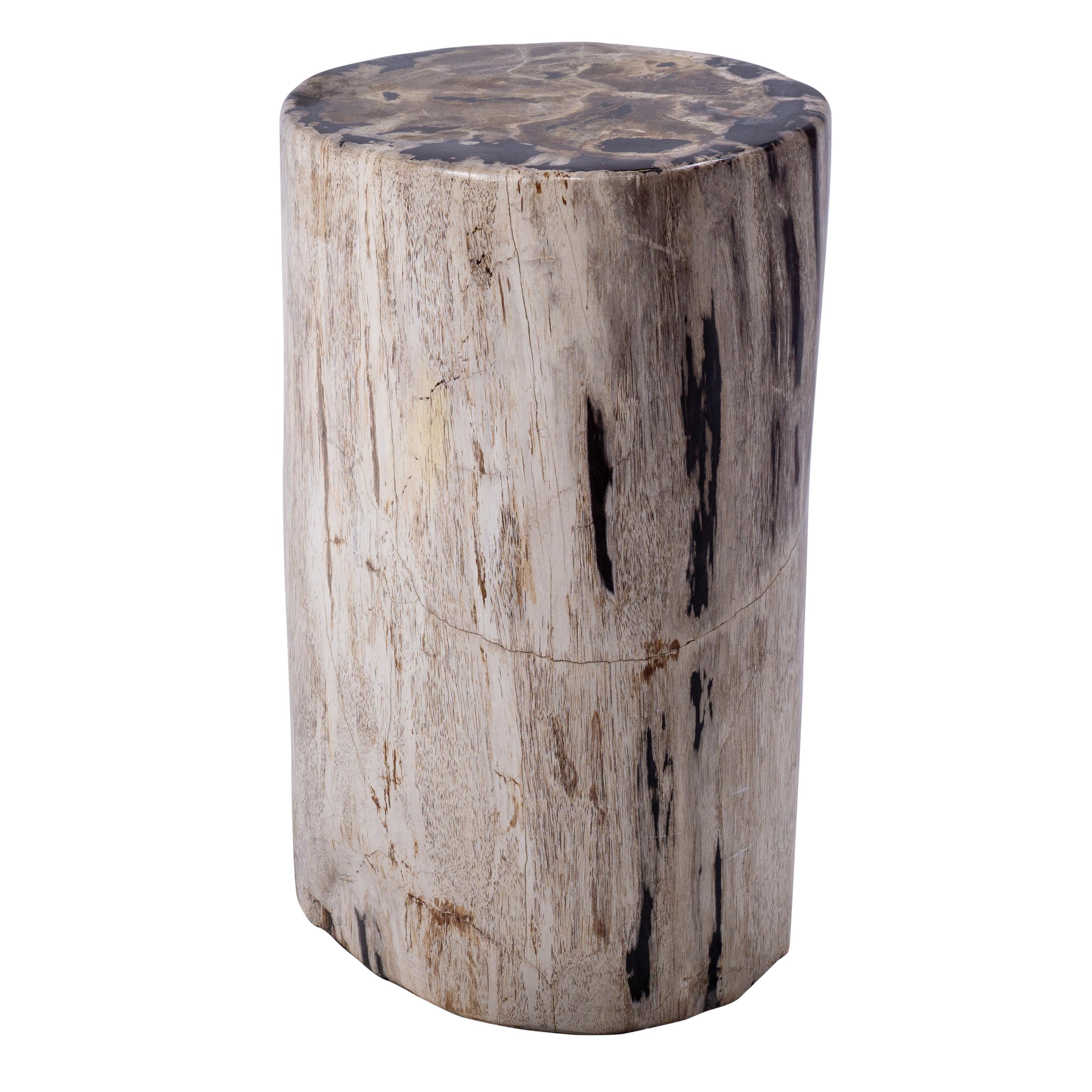 Bois fossilisé Table d'appoint beige grès pétrifié avec accents noirs en vente