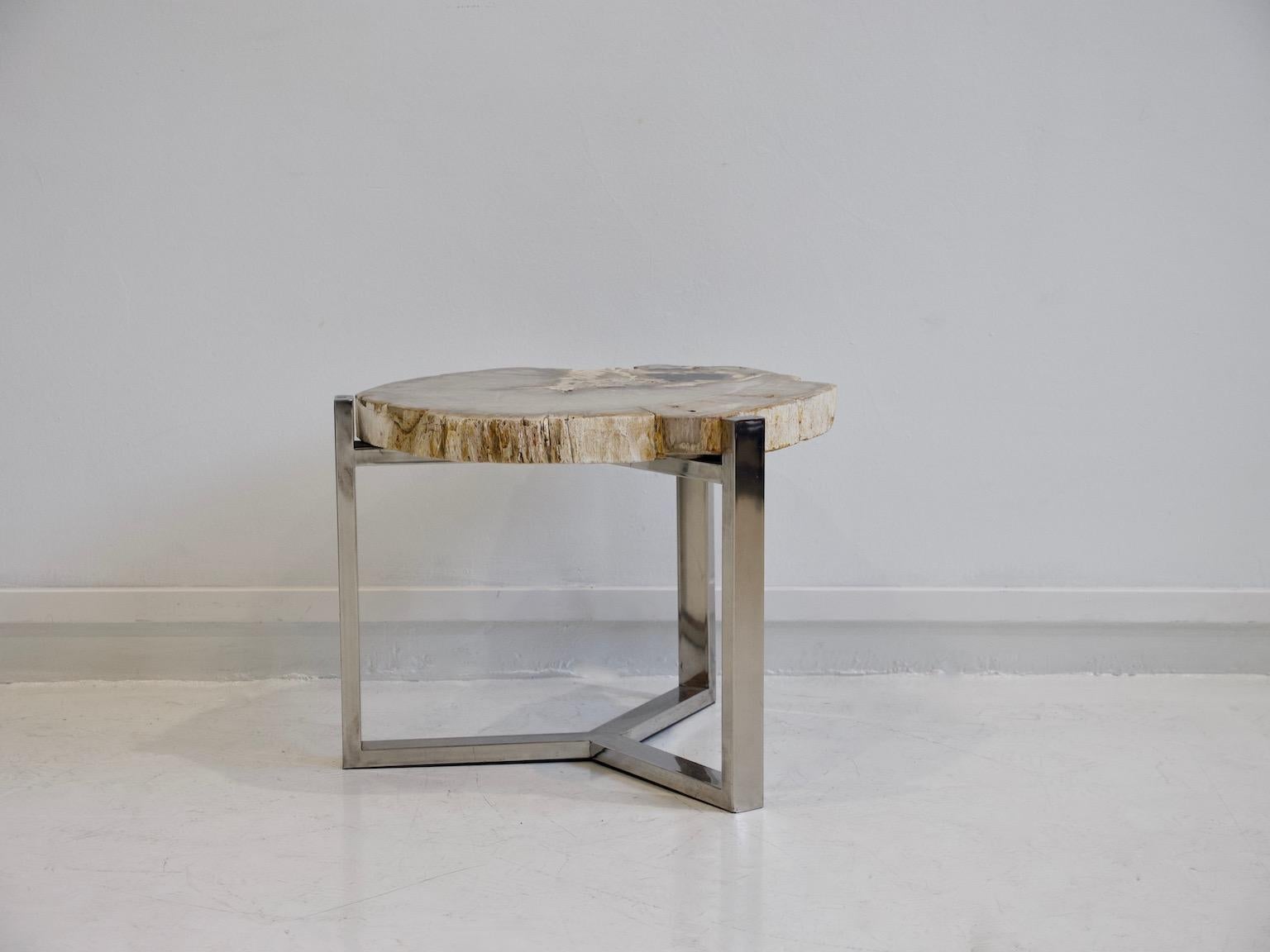 Petrified Wood Side Table on Steel Stand 3
