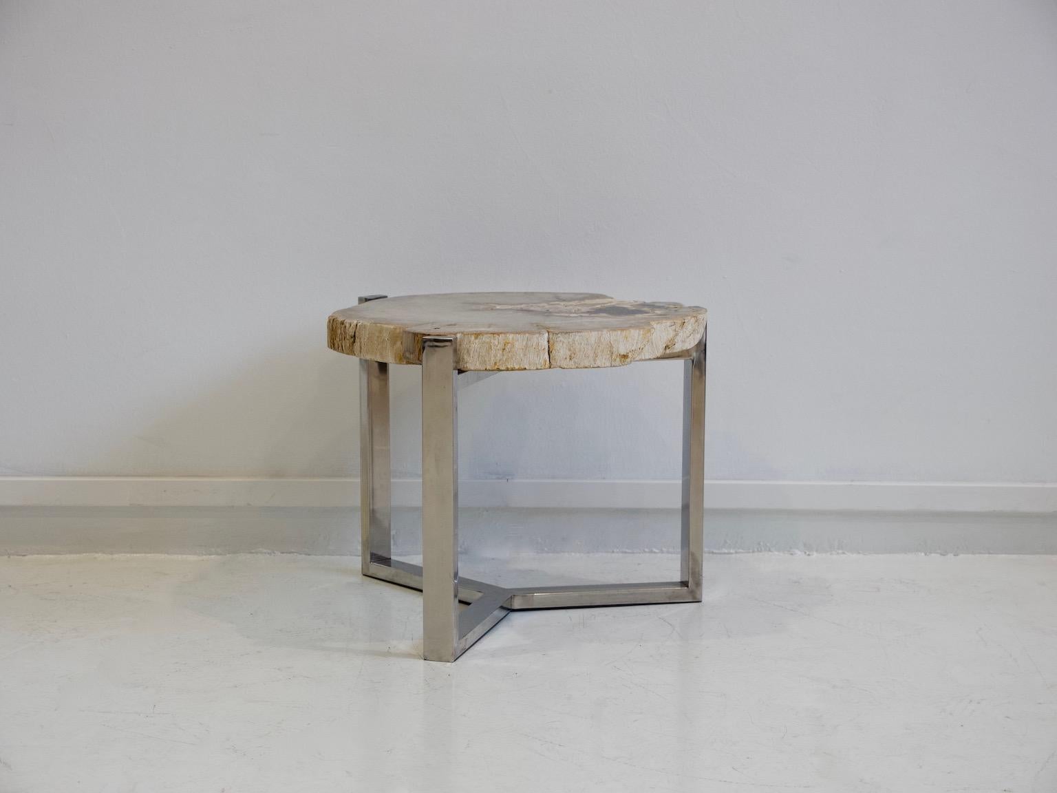 Petrified Wood Side Table on Steel Stand 4
