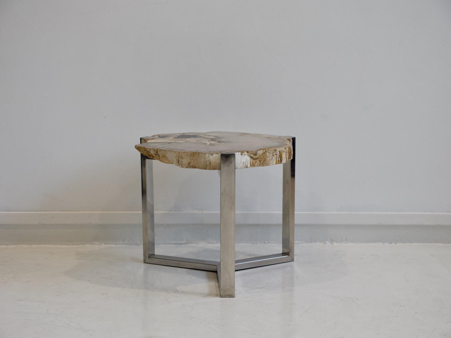 Petrified Wood Side Table on Steel Stand 5