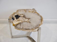 Petrified Wood Side Table on Steel Stand