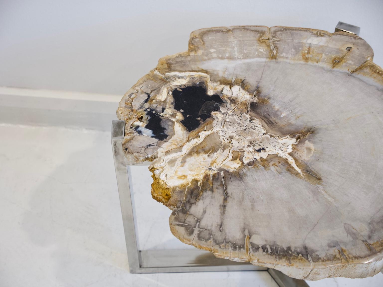 Organic Modern Petrified Wood Side Table on Steel Stand