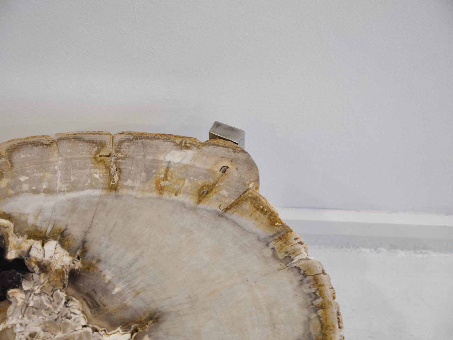 Petrified Wood Side Table on Steel Stand In Good Condition In Madrid, ES