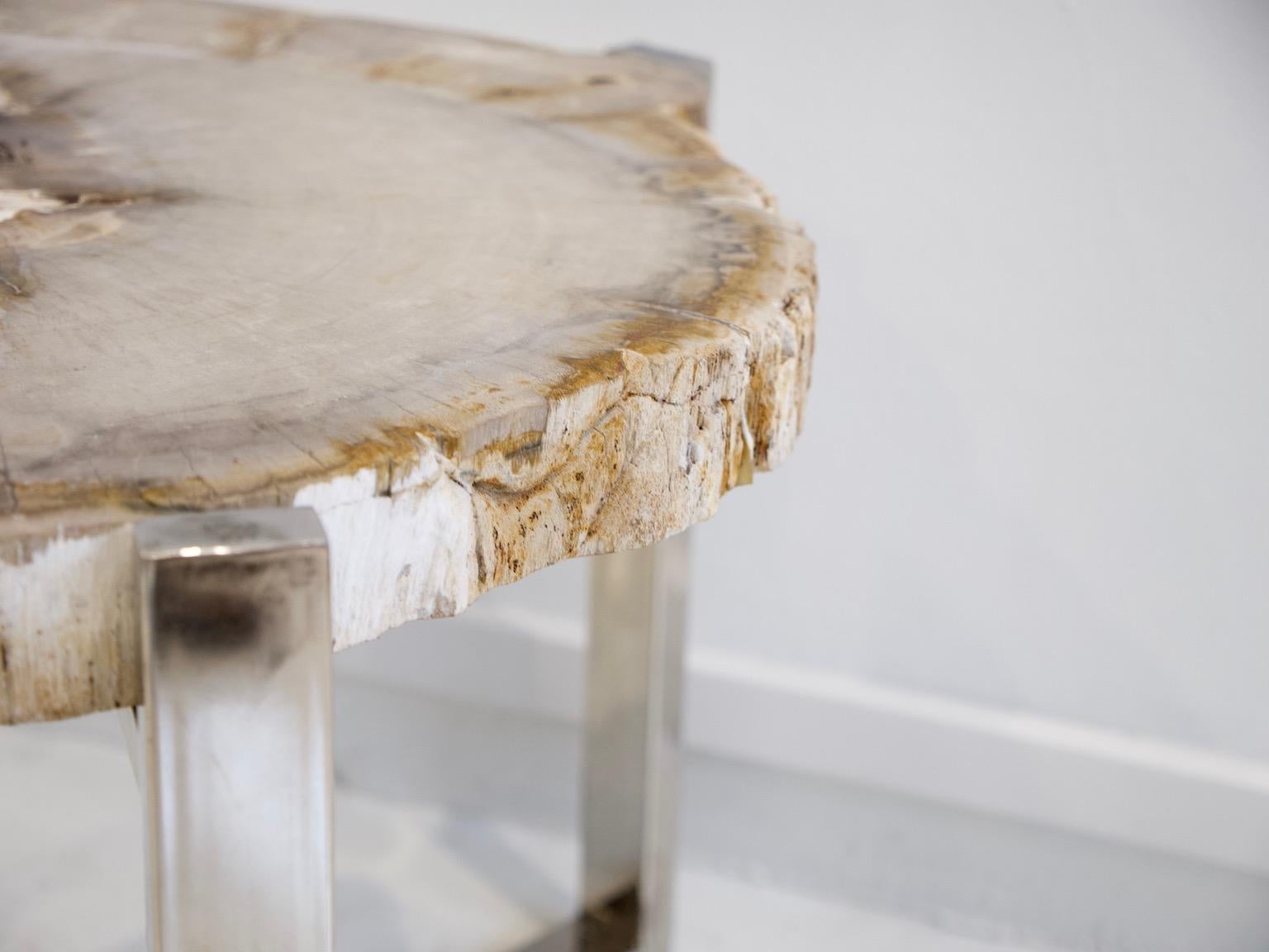 Contemporary Petrified Wood Side Table on Steel Stand