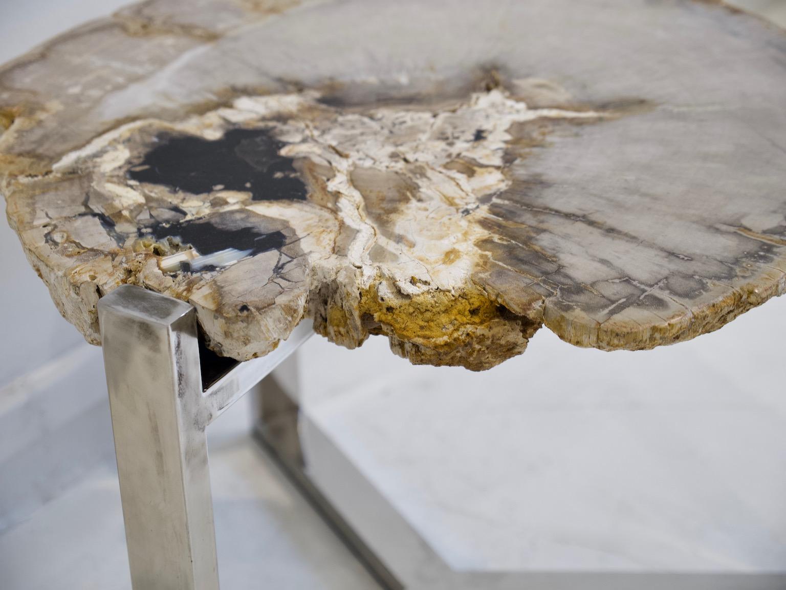 Petrified Wood Side Table on Steel Stand 1