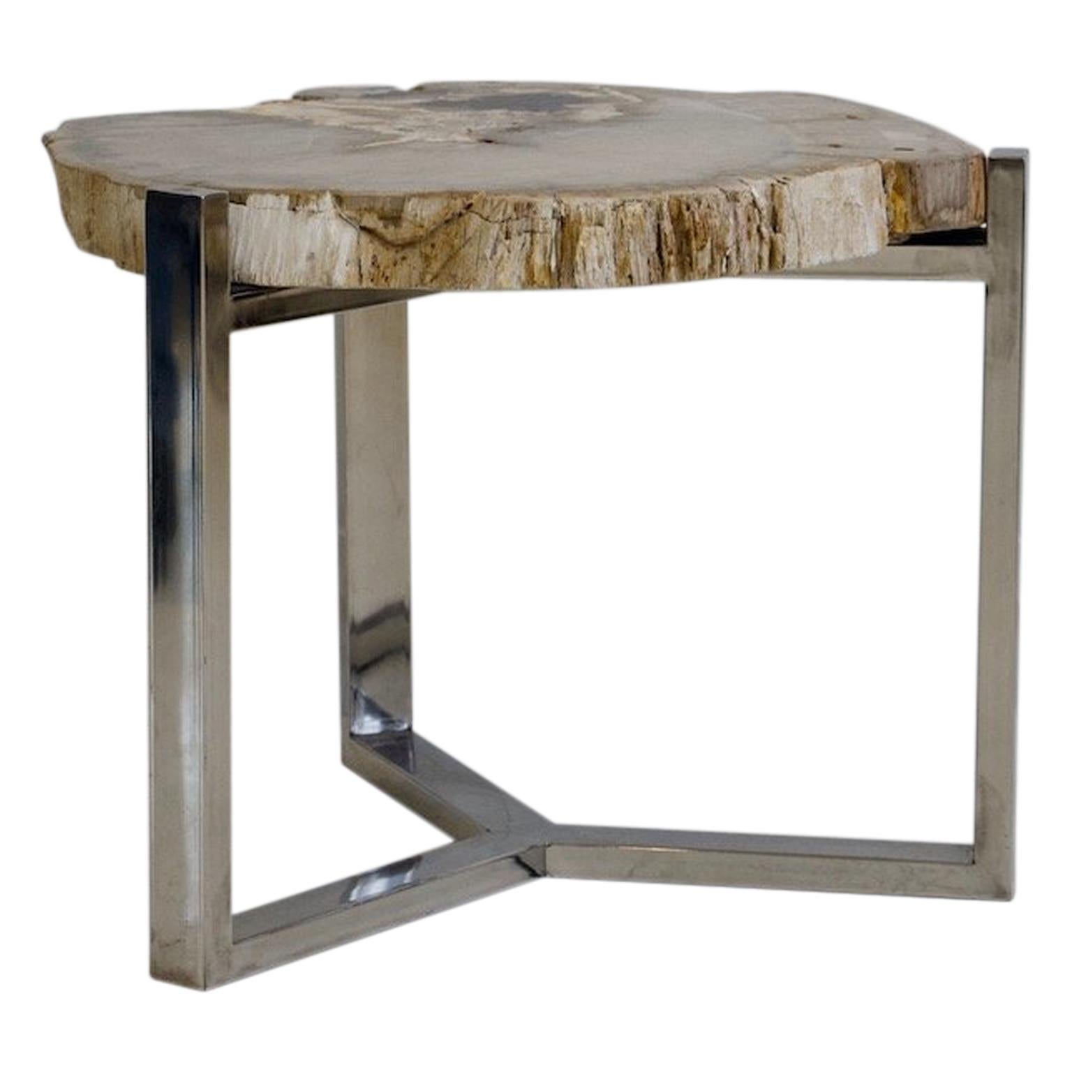 Petrified Wood Side Table on Steel Stand