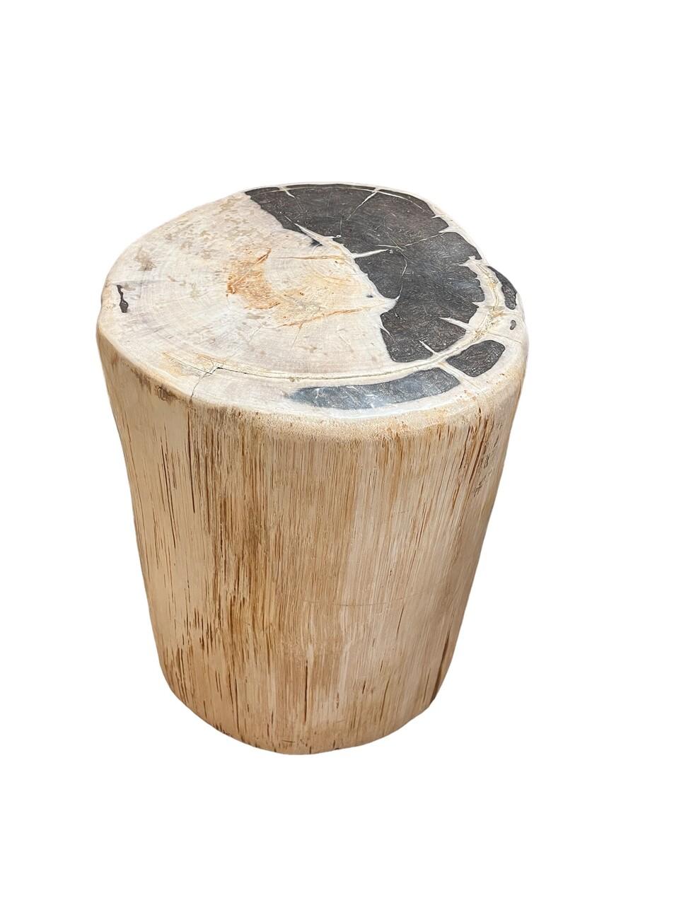 Elevate your decor with this stunning side table carved from a fossilized tree trunk, showcasing a smooth finish that highlights the intricate grain patterns of petrified wood. This one-of-a-kind piece is a unique testament to nature's artistry,