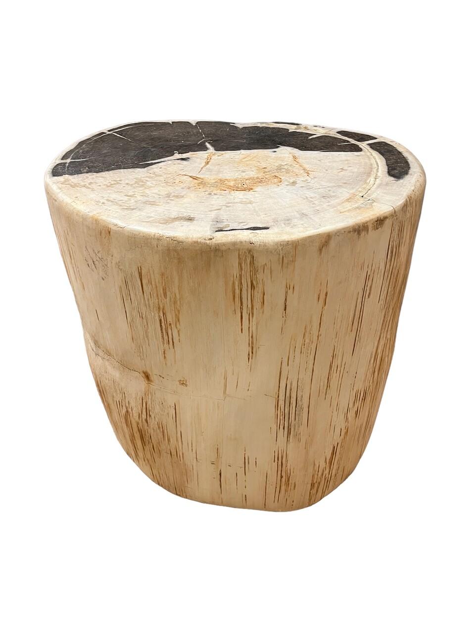 Organic Modern Petrified Wood Side Table or Stool For Sale