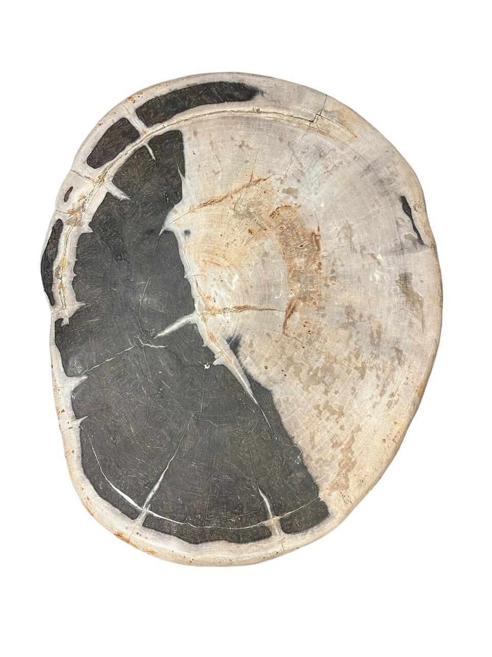 Indonesian Petrified Wood Side Table or Stool For Sale