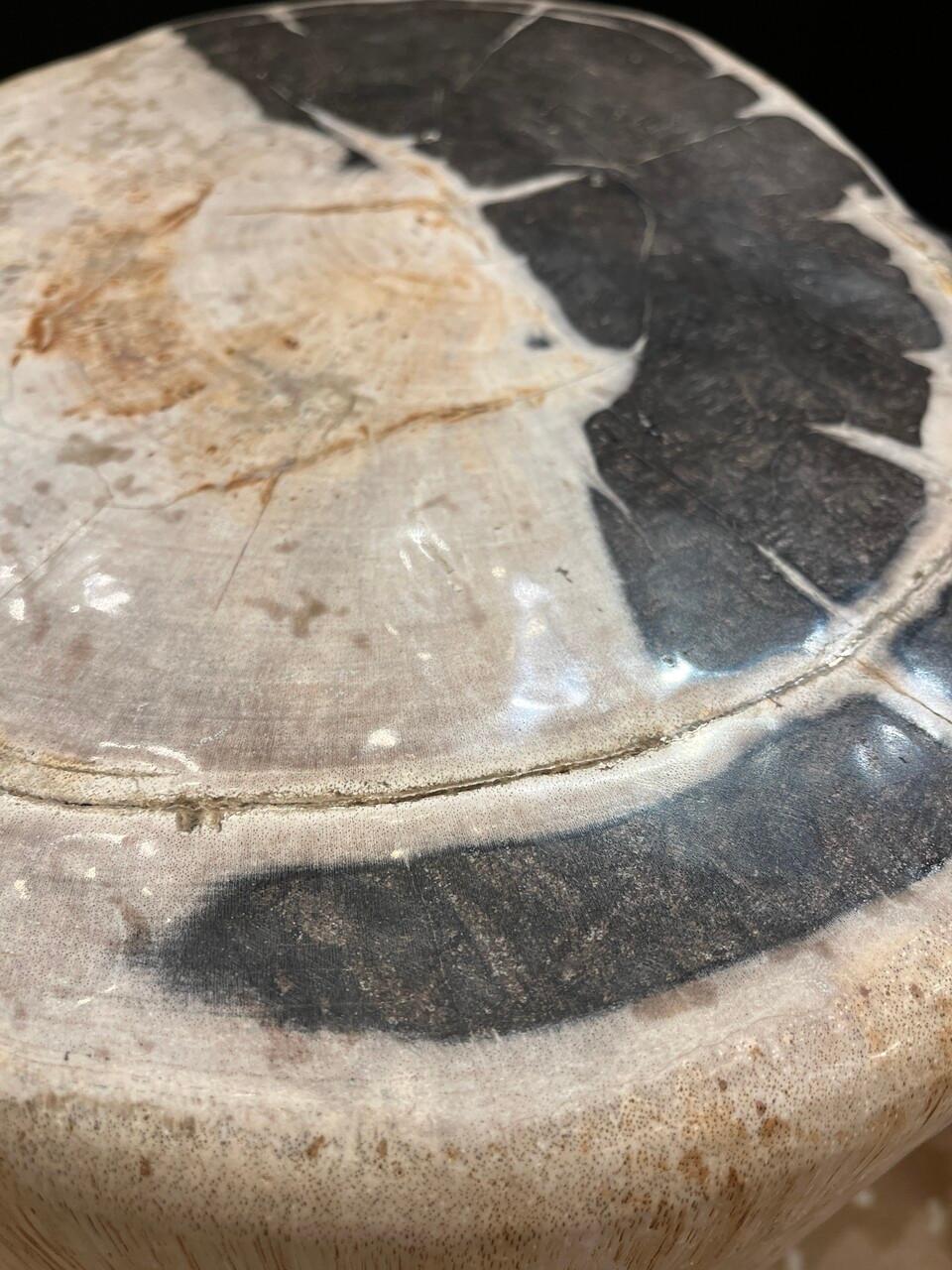 Petrified Wood Side Table or Stool In Good Condition For Sale In Houston, TX