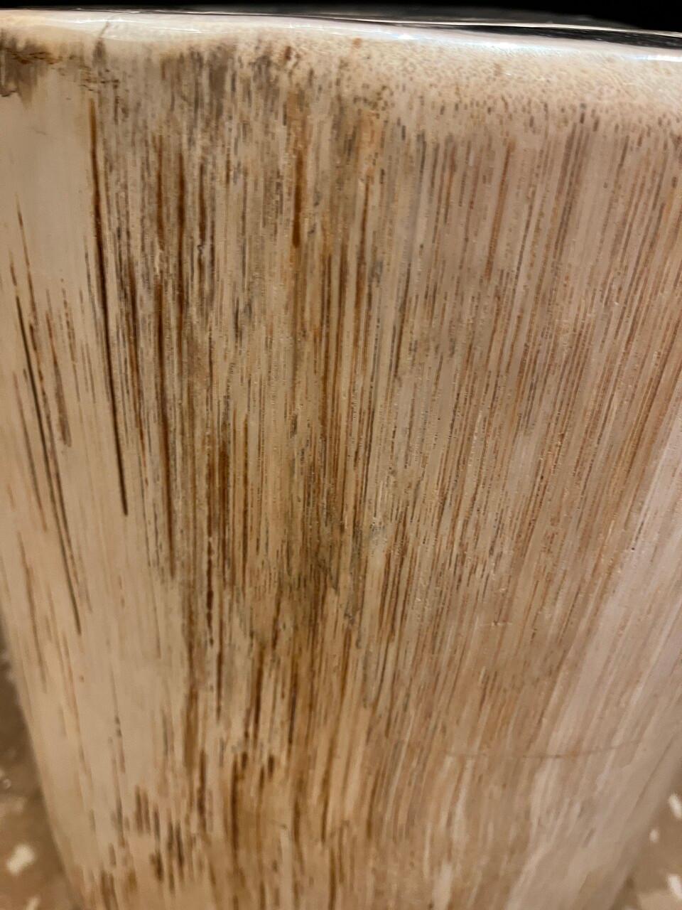 20th Century Petrified Wood Side Table or Stool For Sale
