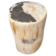Mesa auxiliar o taburete de madera petrificada