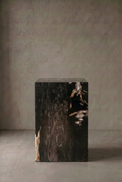 Petrified Wood Side Table, Organic Modern, 21st Century