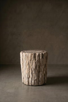 Table d'appoint en bois pétrifié, style moderne organique, XXIe siècle