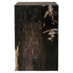 Petrified Wood Side Table, Organic Modern, 21st Century