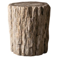 Table d'appoint en bois pétrifié, style moderne organique, XXIe siècle