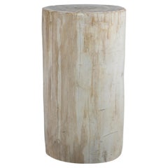 Tavolino in legno pietrificato - Design organico e moderno