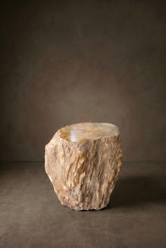 Table d'appoint en bois pétrifié, Wabi-Sabi, XXIe siècle