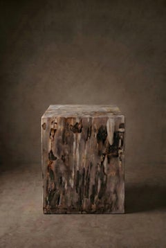 Petrified Wood Side Table, Wabi-Sabi, 21st Century