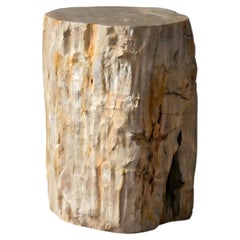 Table d'appoint en bois pétrifié, Wabi-Sabi, XXIe siècle