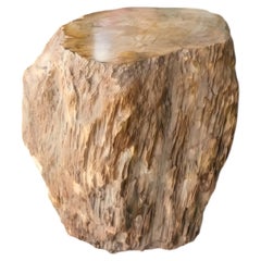 Table d'appoint en bois pétrifié, Wabi-Sabi, XXIe siècle