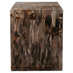 Petrified Wood Side Table, Wabi-Sabi, 21st Century