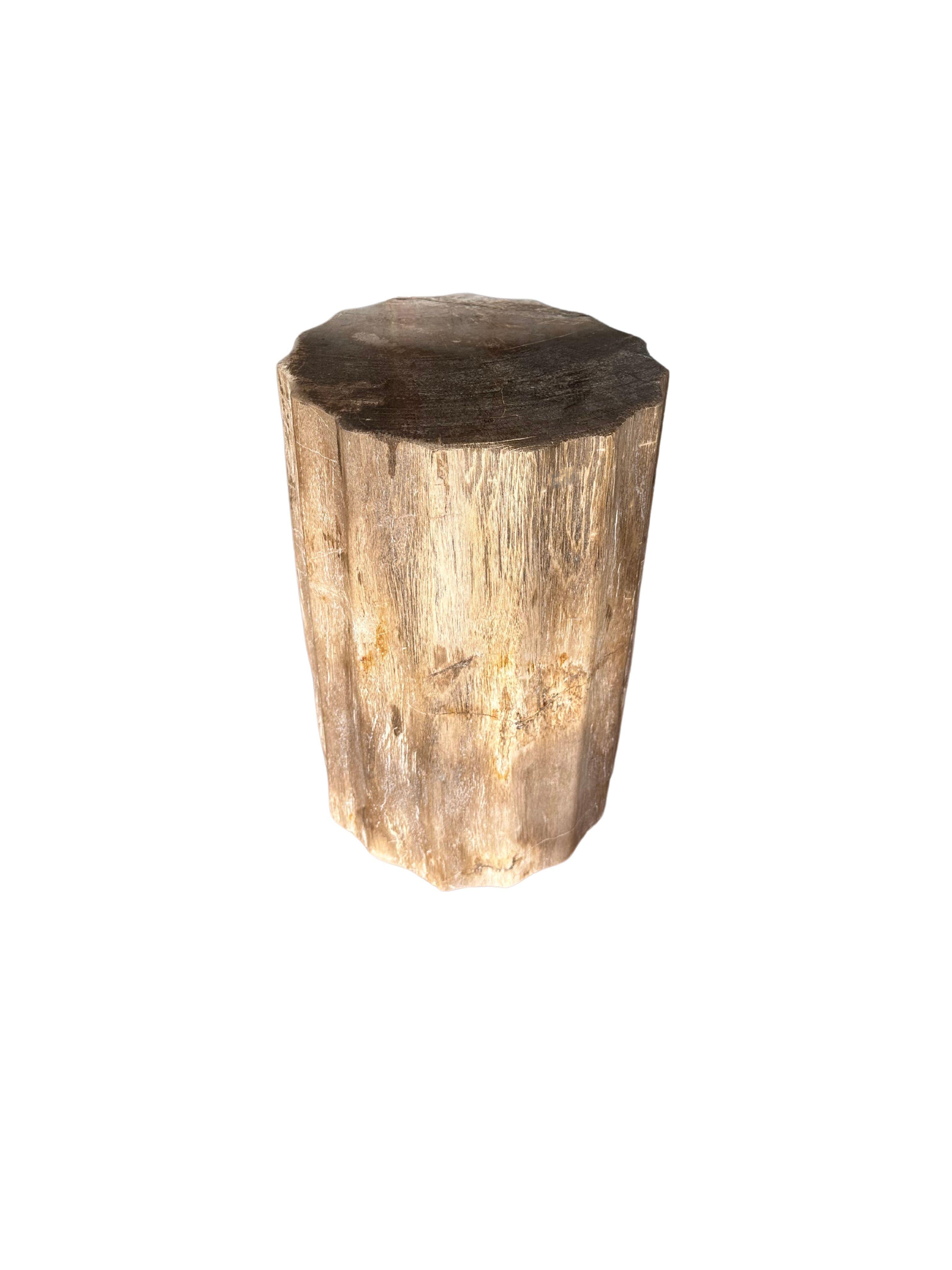 Un magnifique exemple de table d'appoint en bois pétrifié présentant des textures étonnantes. Cet article provient de l'île de Java, en Indonésie, après avoir été enterré pendant plusieurs centaines de millions d'années. Il a ensuite été