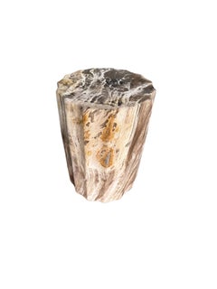 Petrified Wood Side Table With Carved Detail & Stunning Textures, Modern Organic