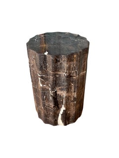 Petrified Wood Side Table With Carved Detail & Stunning Textures, Modern Organic