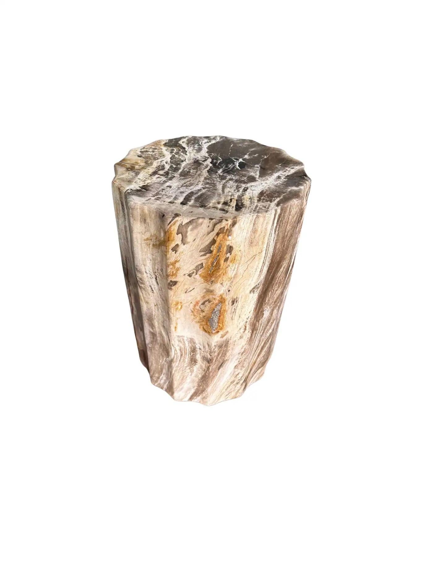 Un magnifique exemple de table d'appoint en bois pétrifié présentant des textures étonnantes. Cet article provient de l'île de Java, en Indonésie, après avoir été enterré pendant plusieurs centaines de millions d'années. Il a ensuite été