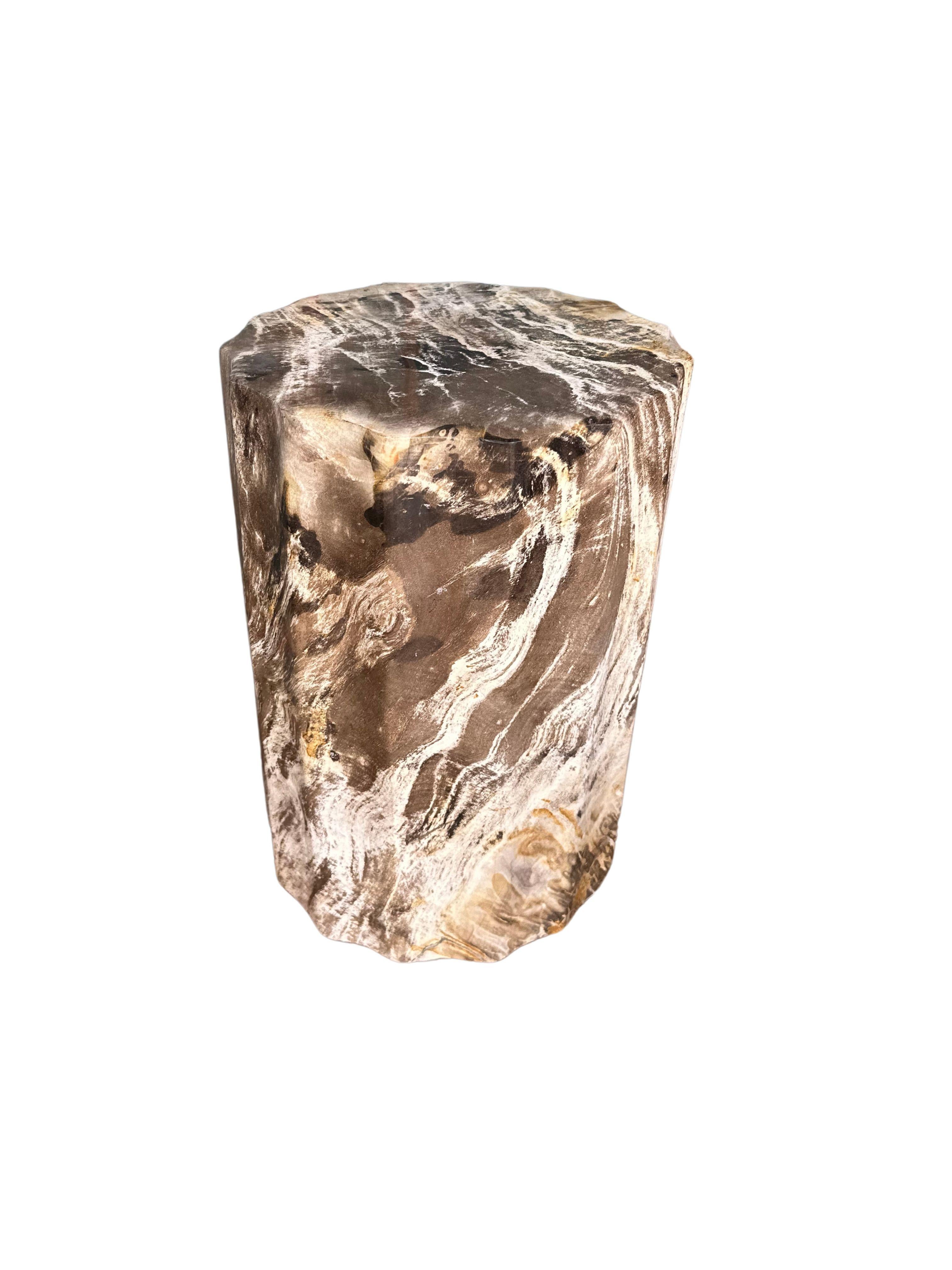 Beistelltisch aus versteinertem Holz mit geschnitzten Details & atemberaubenden Texturen, Modern Organic (Poliert) im Angebot