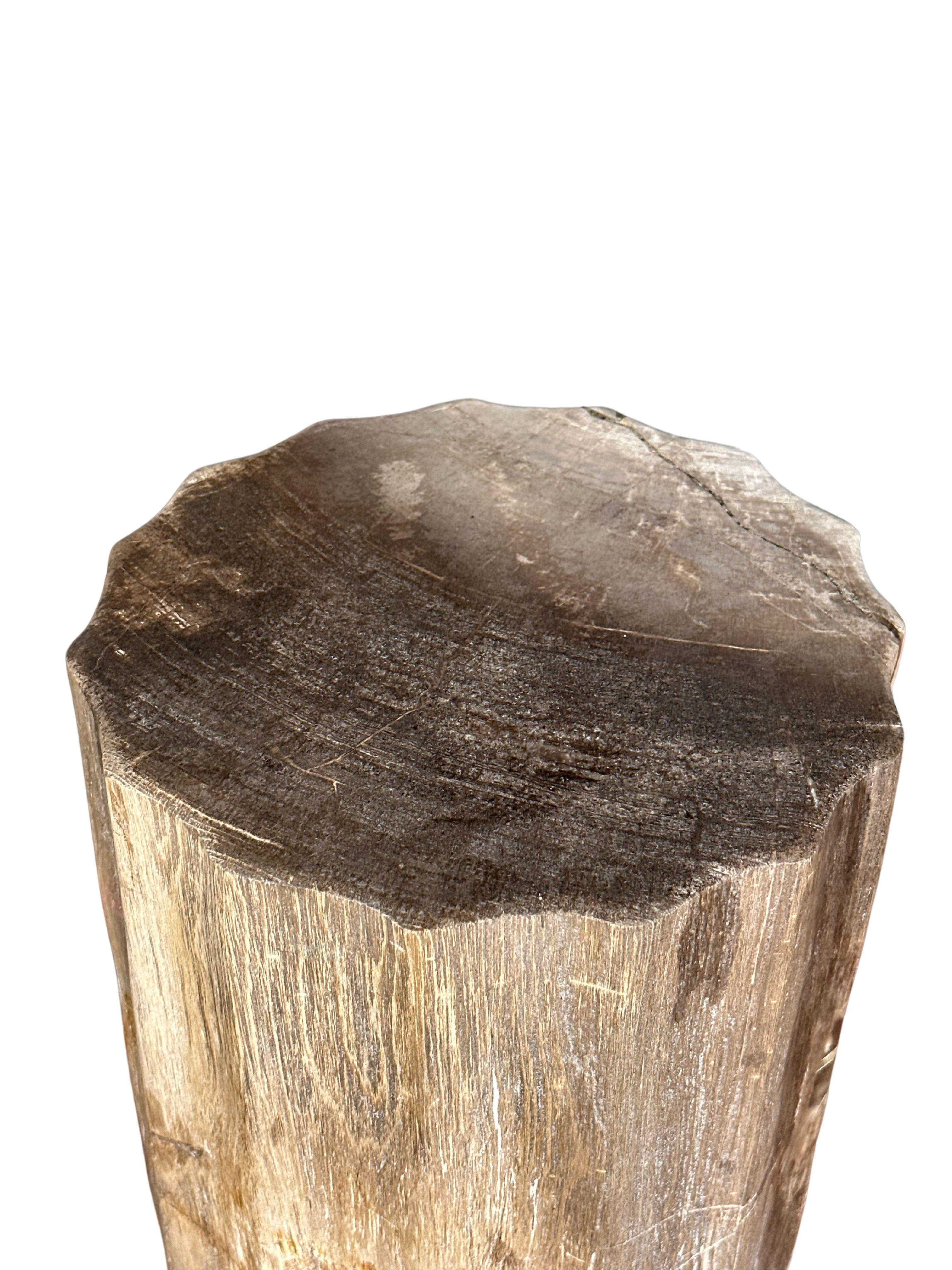 Bois fossilisé Table d'appoint organique moderne avec détails sculptés et textures étonnantes en vente