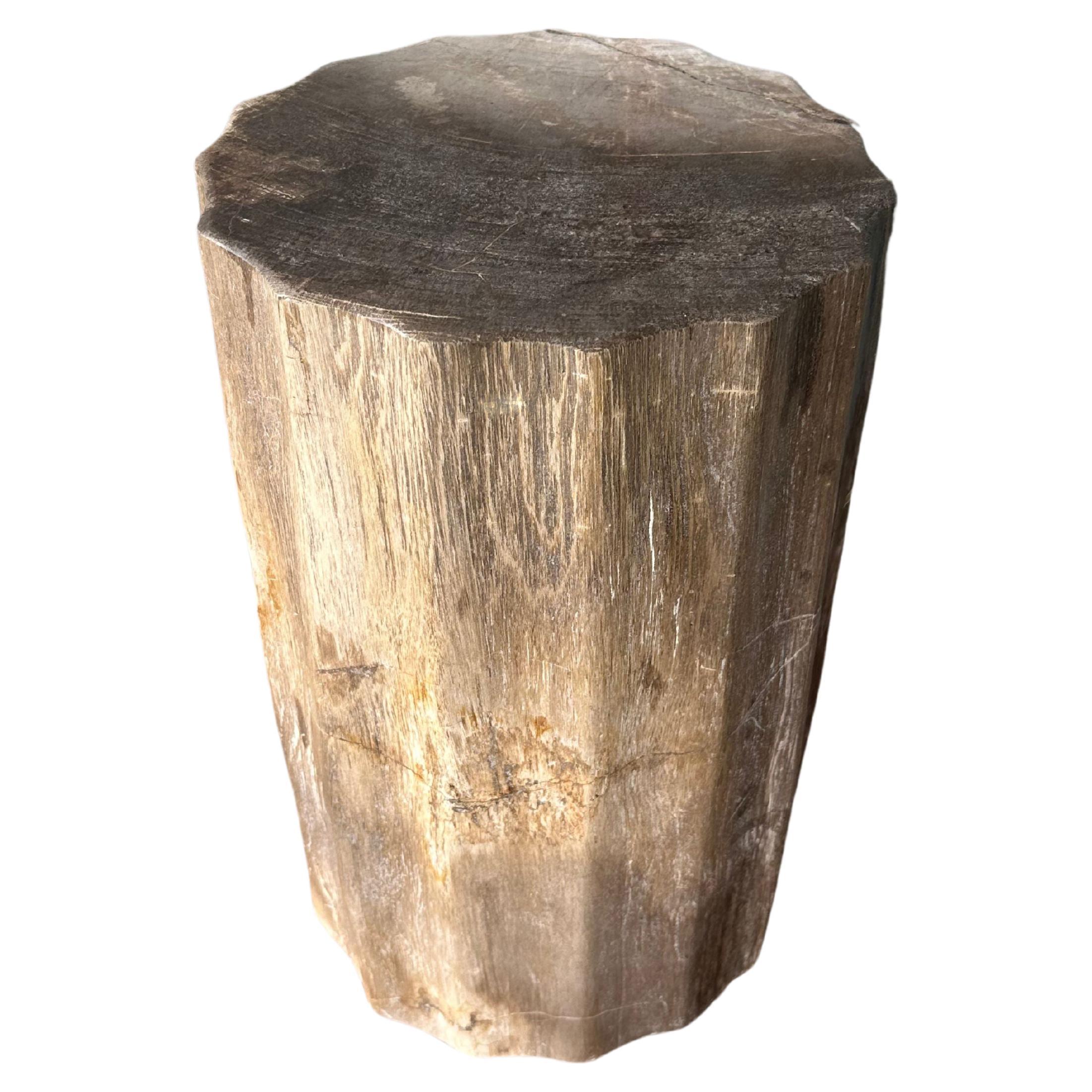 Beistelltisch aus versteinertem Holz mit geschnitzten Details & atemberaubenden Texturen, Modern Organic