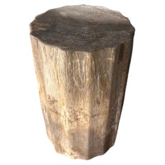 Beistelltisch aus versteinertem Holz mit geschnitzten Details & atemberaubenden Texturen, Modern Organic