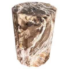 Petrified Wood Side Table With Carved Detail & Stunning Textures, Modern Organic